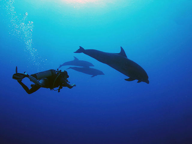 HemisphereSub Raiatea