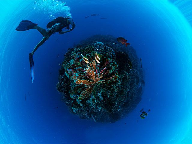 eDivingPass Pass plongée